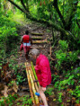 /album/vy-a-my-jamajka-port-antonio/port-antonio-jamajka-vylety-92-jpg/